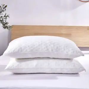 Dreaming Wapiti Pillows for Sleeping, 2 Pack Shredded Memory Foam
